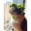 1PC Frog Knitted Pet Hat Adorable Cartoon Cat Cap For Small Dogs Cats Handmade Knit Headgear Cozy Stylish Pet Accessory Soft Warm Winter