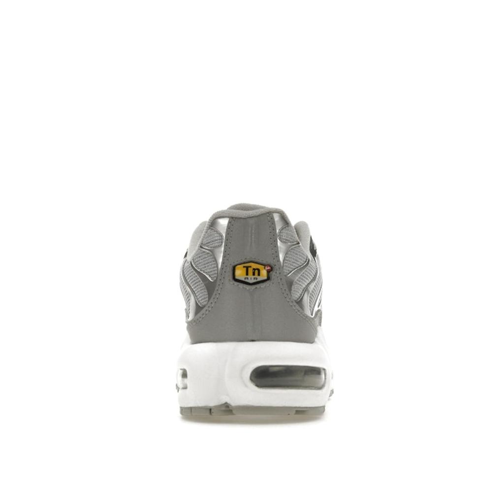 Nike Air Max Plus Metallic Silver Unisex Sneakers Grey-Fog FJ1012-095