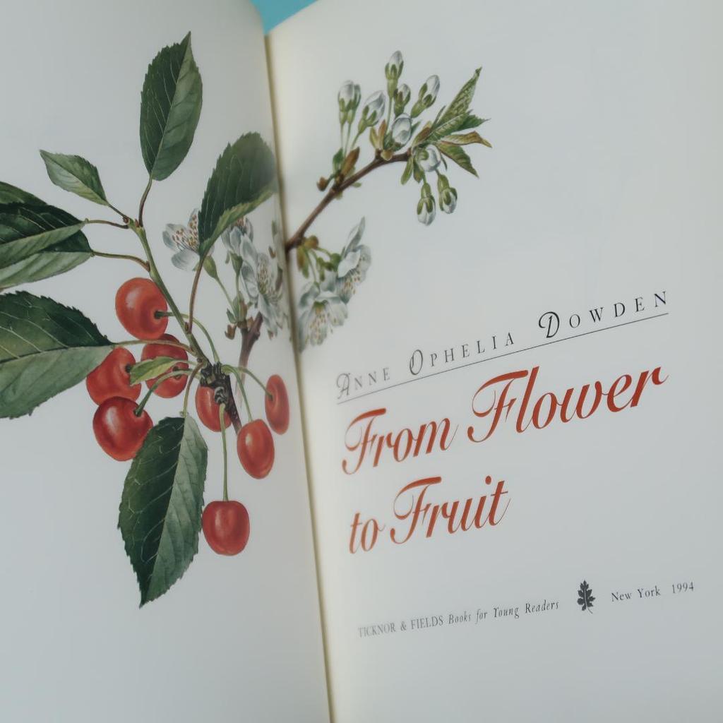[USED] Books: From Flower to Fruit (botanical art, plant illustrations)