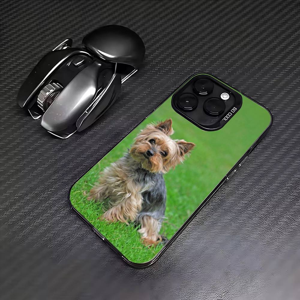 Йоркширский терьер собака йорки щенок Чехол для телефона Для iPhone17,16,15,14,13,12,11 Plus,Pro Max Цветной Посеребренный Внутренняя крышка iPhone11PROMAX