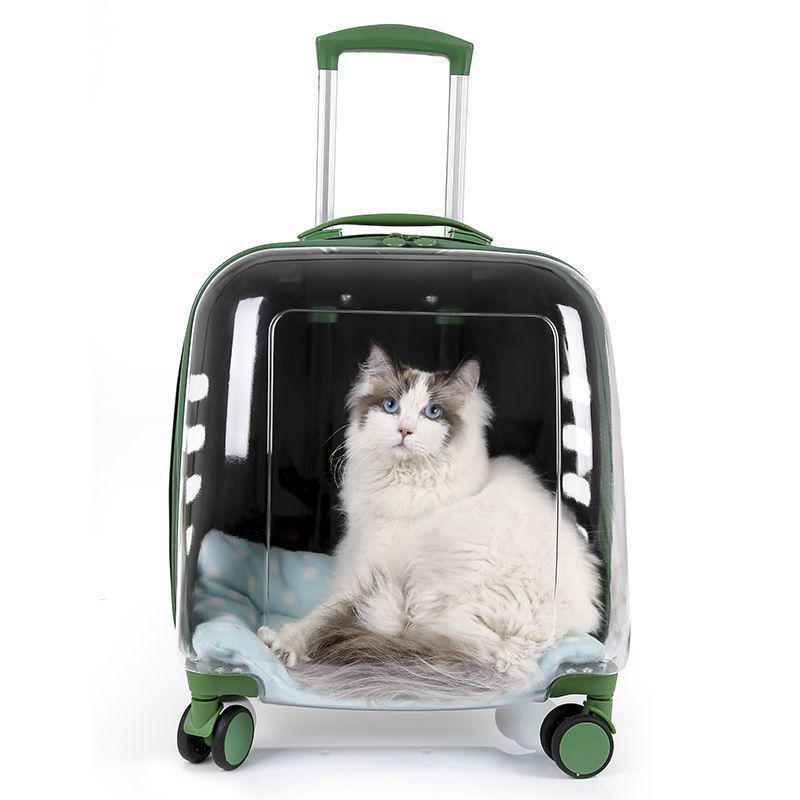 Transparent Pet Travel Suitcase & Stroller - Double-Layer, Airline-Approved for Cats & Dogs.