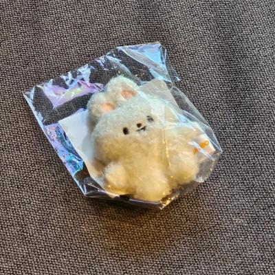 STRAY KIDS Skies Skiju Lilo Lee Min Ho Ribbit Mikro Version Offizielles MD Schlüsselanhänger Version Puppe Ungeöffnetes Neues Produkt