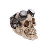 Decorative Skull - PUCKATOR - Steampunk (biker Glasses) - Polyresin - Painted Finish - 12 X 9 X 14.5 Cm
