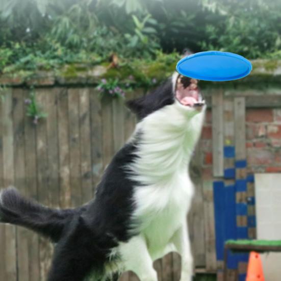 Yousheng Hundewerferscheibe Reißfest Gute Zähigkeit Interaktiv Exquisit Zartes Sportwerkzeug TPR Lustiges Flugobjekt Hundespielzeug für Welpen