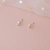 Mini Rose Flower Tulip Earrings Mini Small Student Free-Earring Forest System Fresh and Trendy