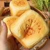Finger Suction Simulated Bread Toast Squeeze Slow Rising Sensory Fidget Toy  Sensory