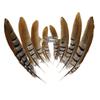 Pheasant Feather Long Plumes for Peking Opera Performance - Sun Wukong Theme