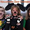 Akcesoria do Kostiumu Psa Opaska na Głowę z Uszami Psa Nos Ogon Mucha Rękawiczki i Spódniczka, Dziecięcy Kostium Zwierzęcia na Halloween