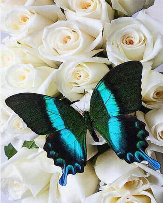 5D-Diamantstickerei zum Selbermachen, Rotkrönungskraniche, Rose, komplett quadratisch, rund, Kreuzstichset, Diamantmalerei, Blumentierkunst, Strass, handgemachtes Geschenk