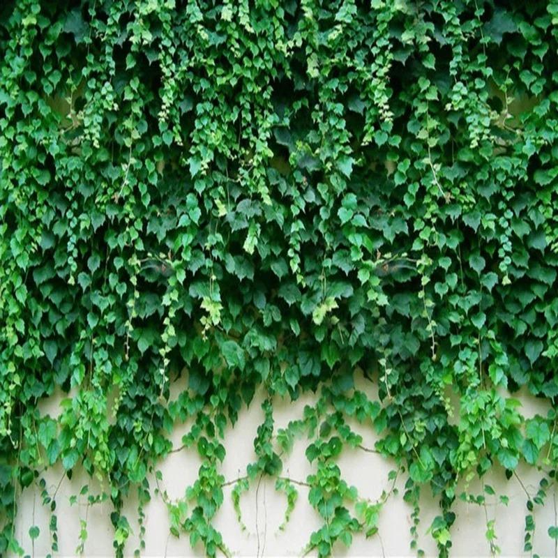 Photo Wallpaper 3d Green Plant Leaf Mural Hotel Living Room Tv Sofa Backdrop Wall Murals Home Decor