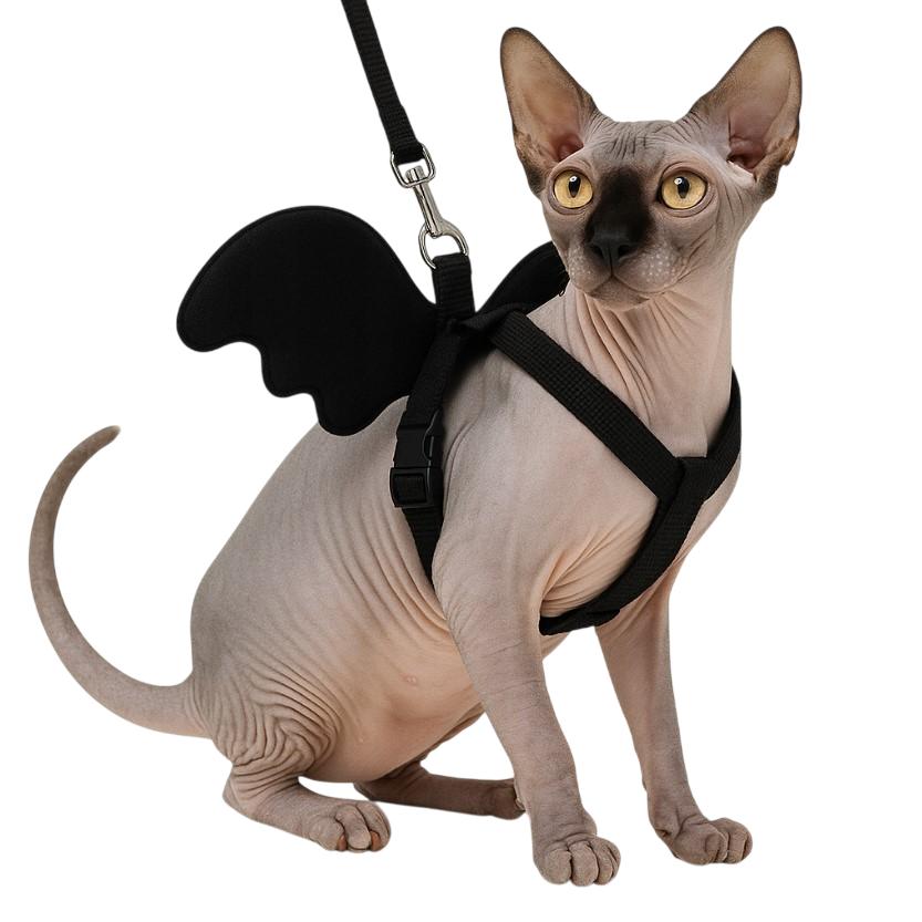 Harness with wings for small dogs and cats with a leash S 2-3.5 kg (black)