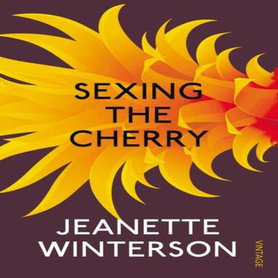 Sexing the Cherry by Jeanette Winterson Paperback Book 9780099598176
