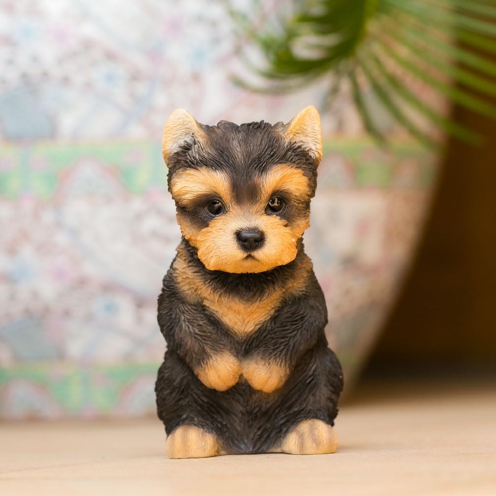 Devalier ca168 [Authentic] Yorkshire Terrier Resin Dog Figurine, Perfect Gift