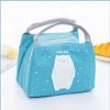 New Large-capacity Portable Lunch Box Bag Insulation Bag Korean Version of The Cartoon Cute Pet Lunch Bag Small Insulation Bag