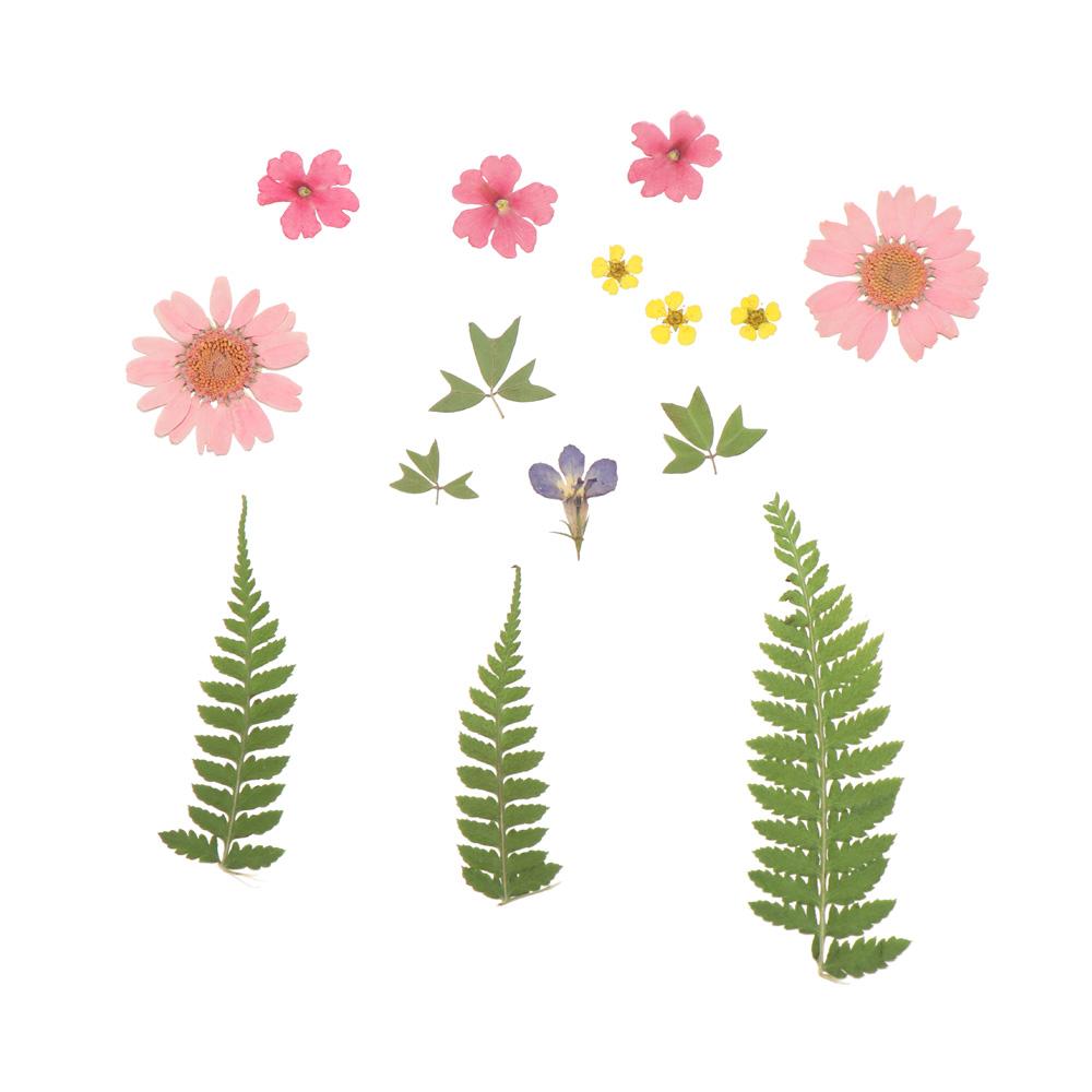 Filling Materials Jewelry Making Beauty Decal Resin Filler Resin Mold Filling Flower Dried Flowers