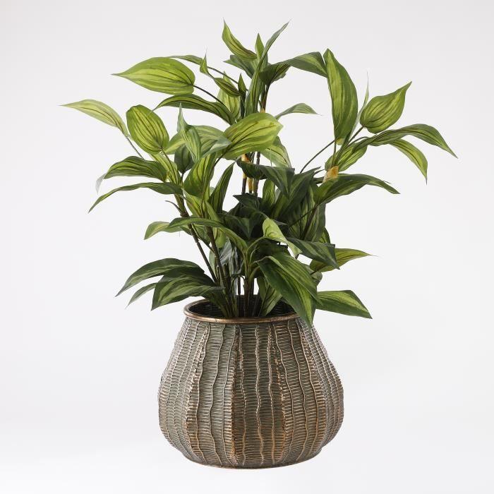 Plante Artificielle - Mica Decorations - Hosta - H65 X Ø40 Cm - Vert - Sans Entretien
