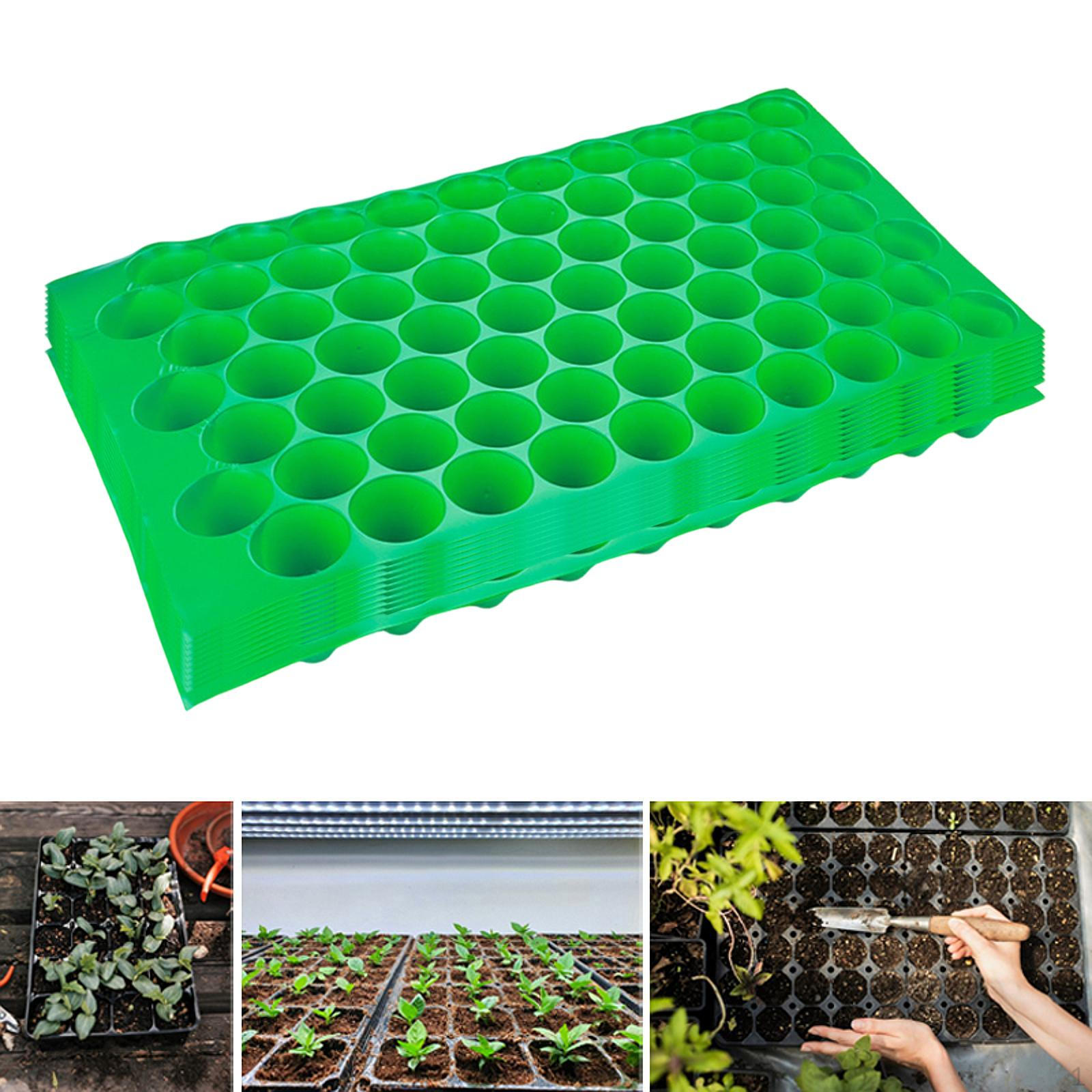 10 Perforated Seed Trays, , Portable And Practical, Propagation Tray, Tray 70 Holes