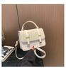 Stilvolle 2024 Neue Street Fashion Damen Umhängetasche Kette Crossbody Tasche