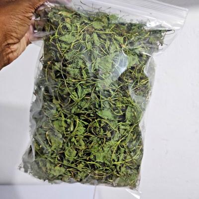 Getrocknetes Centella asiatica-Blatt, Bio-Pennywort Spadeleaf Gotukola Brain Booster