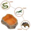 Climbable Reptile Water Bowls Resin Tortoise Water Dish Amphibian Feeding Bowl  Gecko