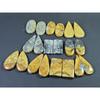 283Cts.Natural Malingano Jasper Matched Pair Mix Cabochon Gemstone 10PairLot C-367