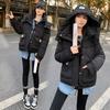 Short Hooded Fashion and Versatile Down Padded Jacket Women's Winter 2025 New Student Bread Cotton Jacket