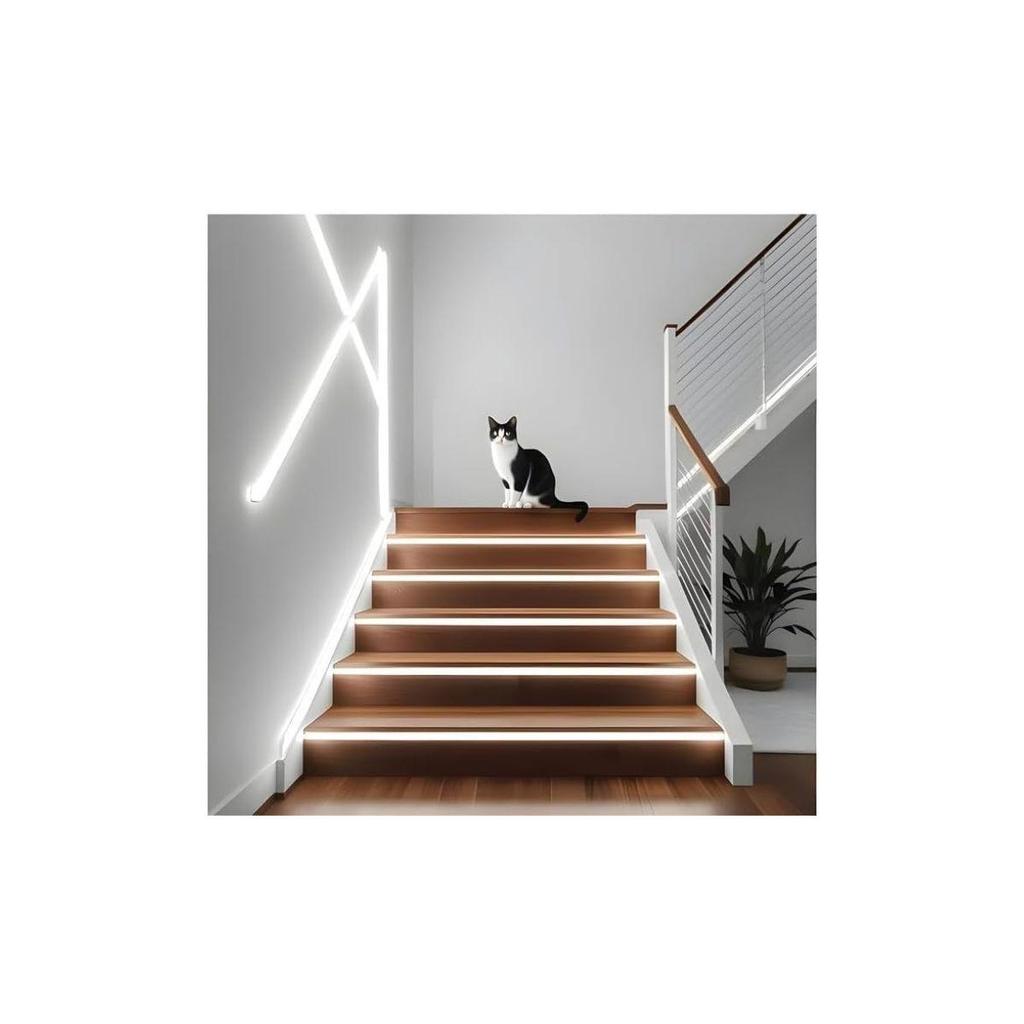 APSMOTIV Bright LED Neon Light 5 Meter 12VDC 16x16 mm Neon Strip Lights 6000K 2835 LEDs, Flexible Silicone IP65 Outdoor/Indoor Neon Light for Bedroom