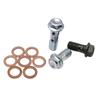 10 Pcs Motorcycle Brake Caliper Banjo Bolts Screws with Washers Stainless Steel Brake Banjo Bolts Motorcycle Accessories