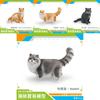 Ragdoll Katze Somali Katze Figur Für Kinder PVC Tier Modell Katze Zum Lernen Spielen