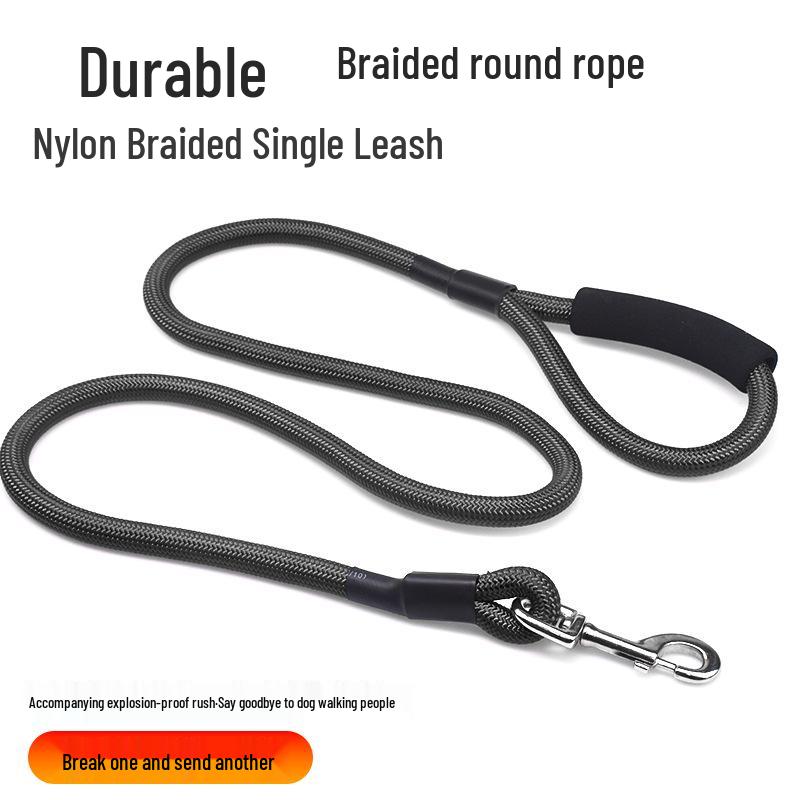 Pet Dog Leash for Small Breeds - Bichon, Teddy, Medium & Large Sizes