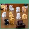 Creative Mini Resin Puppy Figurines Blind Box Table And Car Accessories