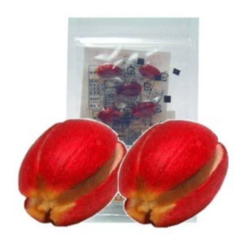 Miracle Fruit 5 pieces