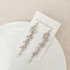 Long Tassel Earrings Zircon Hoop Earrings Rhinestone Earrings Chic Elegant Stud Earrings Stylish Jewelry for Women