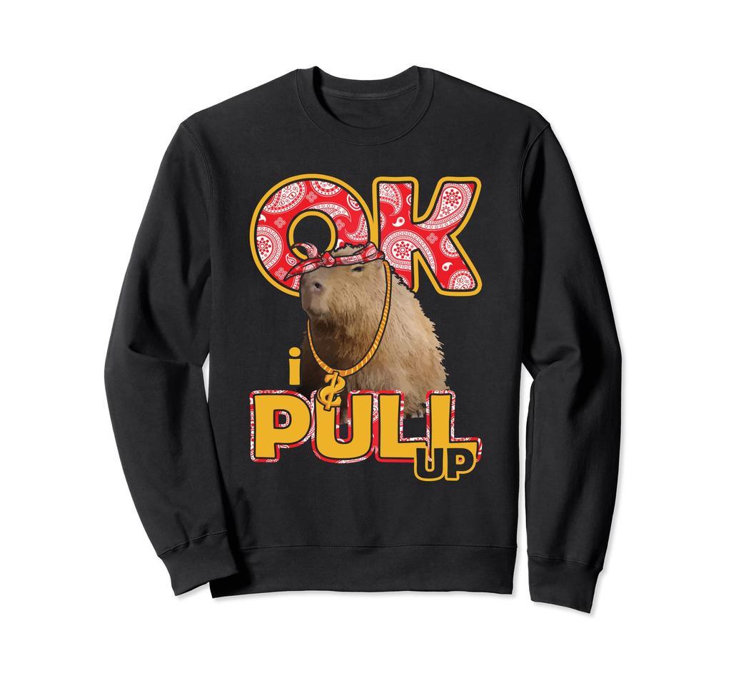 Hip Hop OK I PULL UP Cute Capybara Sweatshirt
