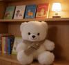 Teddy Bear Plush Toy With Heart Sweater For Kids And Adults