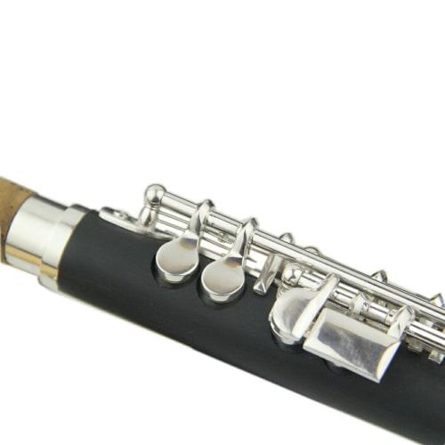 Tachiuwa C Key Flute with Carrying Case and Cleaning Cloth, Beginner Kids Gift