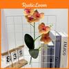 Faux Butterfly Orchid With Leaf For Event Planning And Venue Enhancement