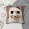 Cat Funny MEME Pillow Case Square Double-Sided Printing Short Plush Sofa Cushion Cover Bedroom Bedside Pillow