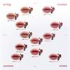LAKA Devil Lip Hidden Black High Color Korean Cosmetics #811 Lipstick, Payoff, Long-lasting,