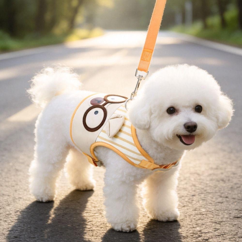Wear-resistant Dog Harness and Leash Set Cartoon Design Pet Chest Strap Set  Small Dog