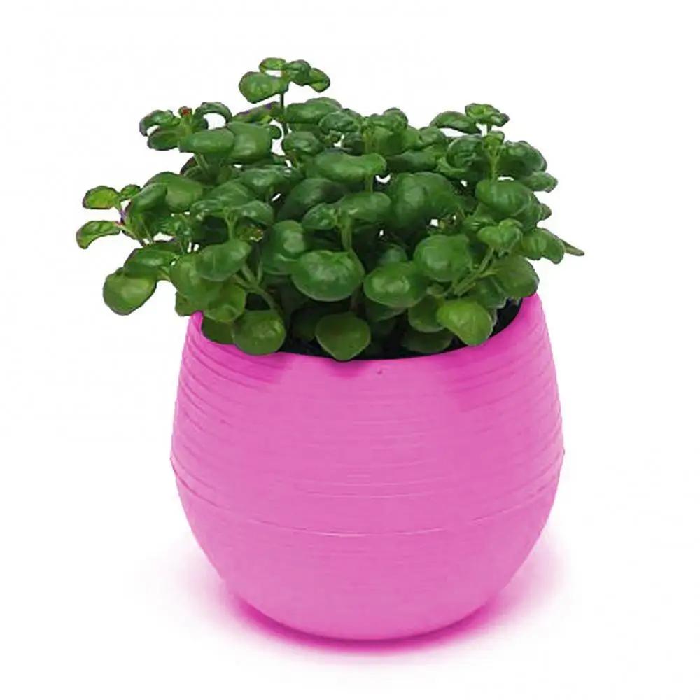 2 Layer Drain Hole Succulent Pot Mini Flower Pot Desk Green Plant Flowerpot Nursery Pots Home Garden Decoration Planters