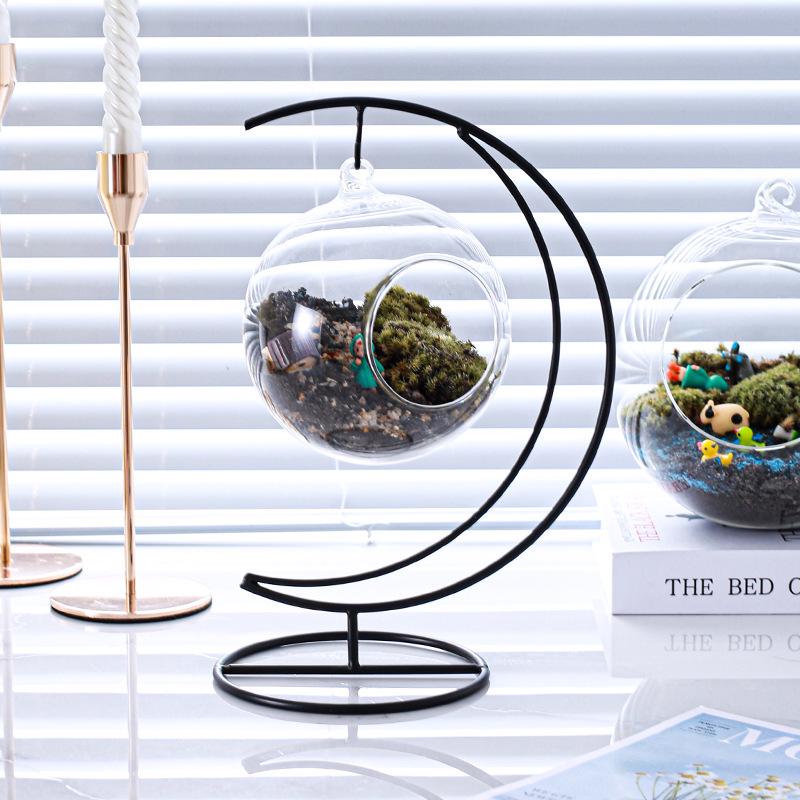 Moon-Shaped Moss Micro Landscape Glass Bottle with Iron Art Hanging Hook