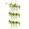Retro Wood Frame Vase Wall Hanging Transparent Glass Vase Glass Planter Plant Vase  Office