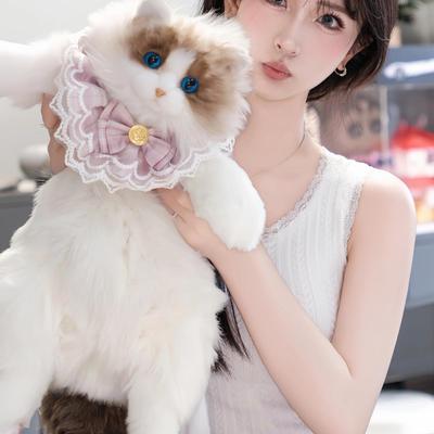 Zaino Peluche Gatto Ragdoll e Regalo Giocattolo Cuscino Gattino