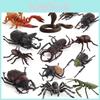 Модель сцени комахи Allomyrina Dichotoma, ПВХ, освітня діорама для дому або класної кімнати