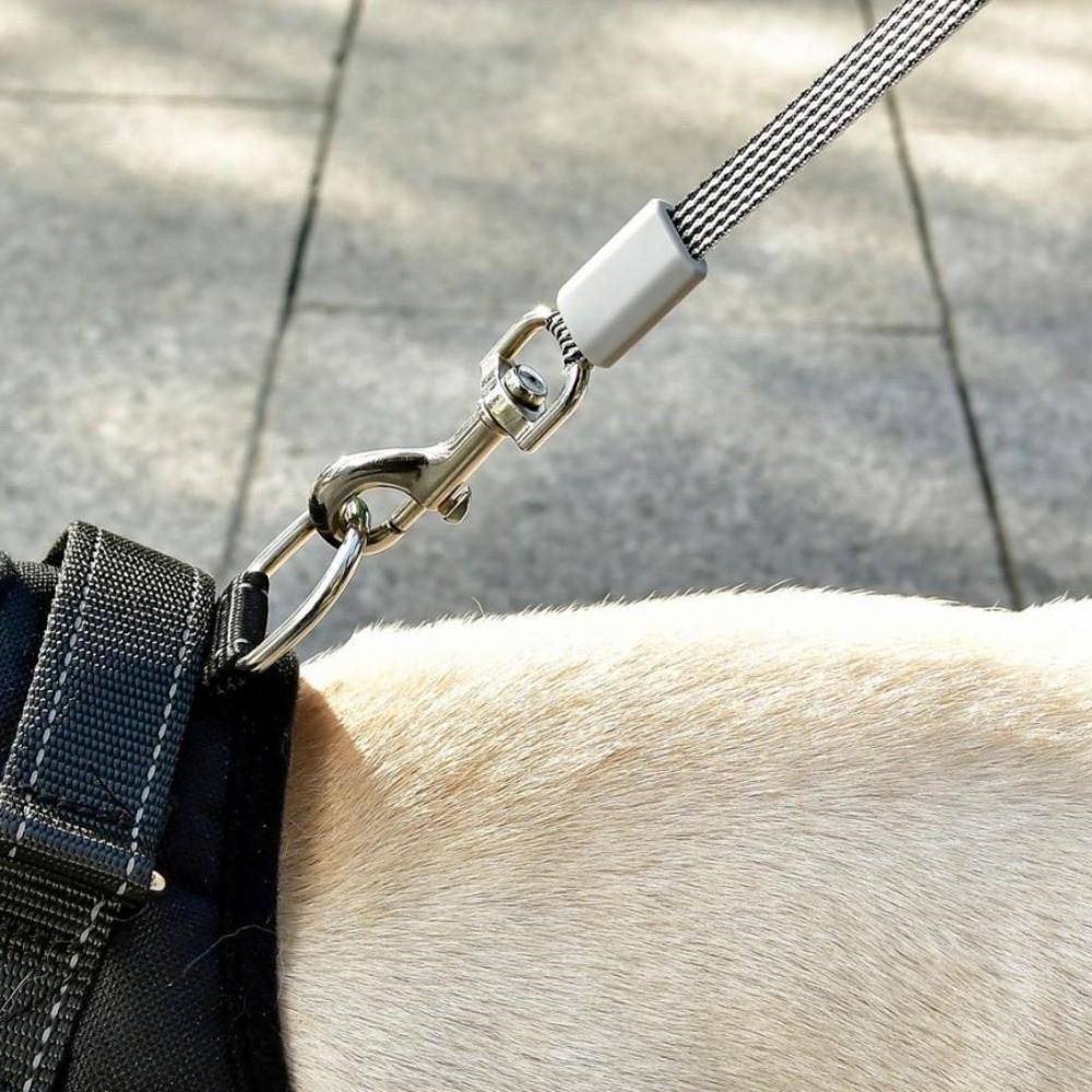 Portable Design Retractable Dog Leash Anti-Escape Mechanism Dogs Auto Retractable Belt  Training