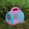 1 Set Critter Viewer Box with Tweezers Magnifying Glass Portable Handle Mesh Kids Outdoor Nature Exploration Small Animal Catcher Observation