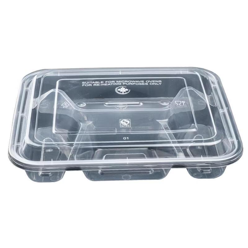 Disposable Rectangular Lunch Box with Compartments