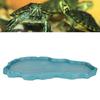 NW29 Plastic Reptiles Feeder Basin Snake Frogs Drinking Feeding Dish Landscape Decorations