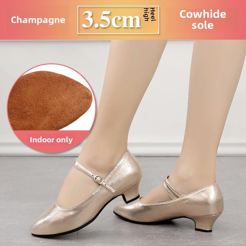 Pantofi de dans modern cu talpă moale: Perfect pentru stilurile de dans Square, Social și National